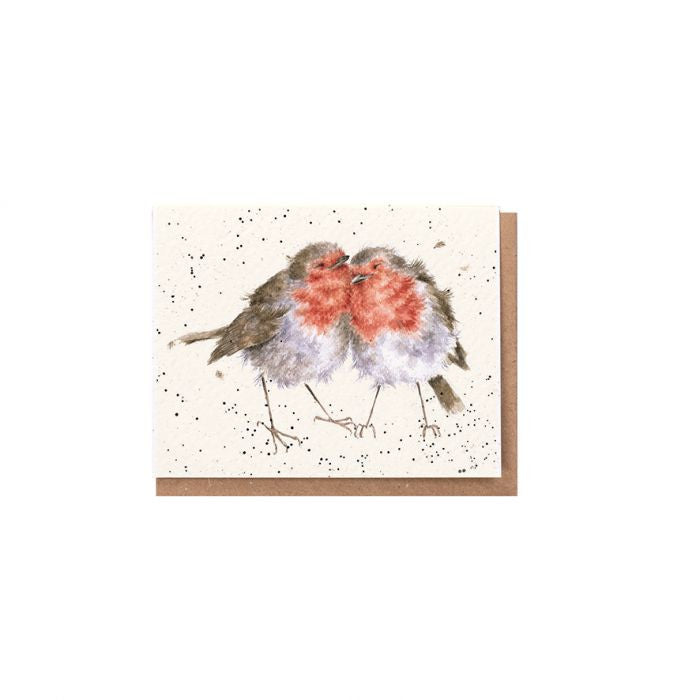 'Birds of a Feather' Robins Gift Enclosure Card