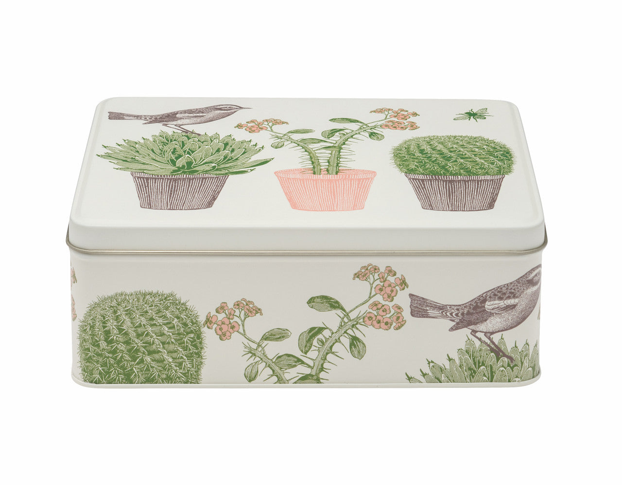 Cactus and Bird Deep Rectangular Tin