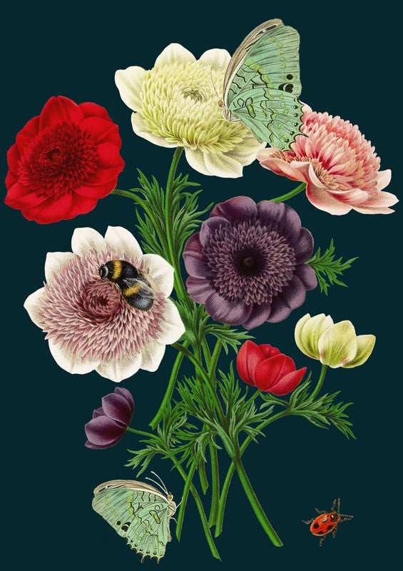 Anemones Greetings Card by Madame Treacle.