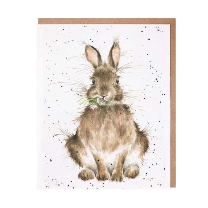 'Daisy' Rabbit Greetings Card