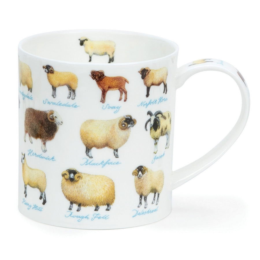 Fine bone china Dunoon Orkney On The Farm mug - sheep.