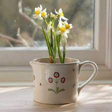 Susie Watson pottery Dark Red Auricula Planter. 