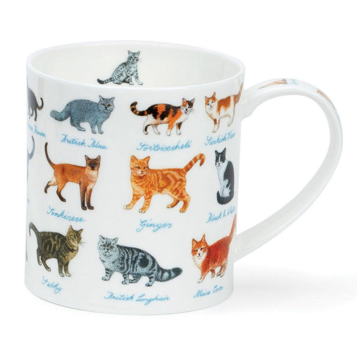 Fine bone china Dunoon Orkney On The Farm mug - cats.