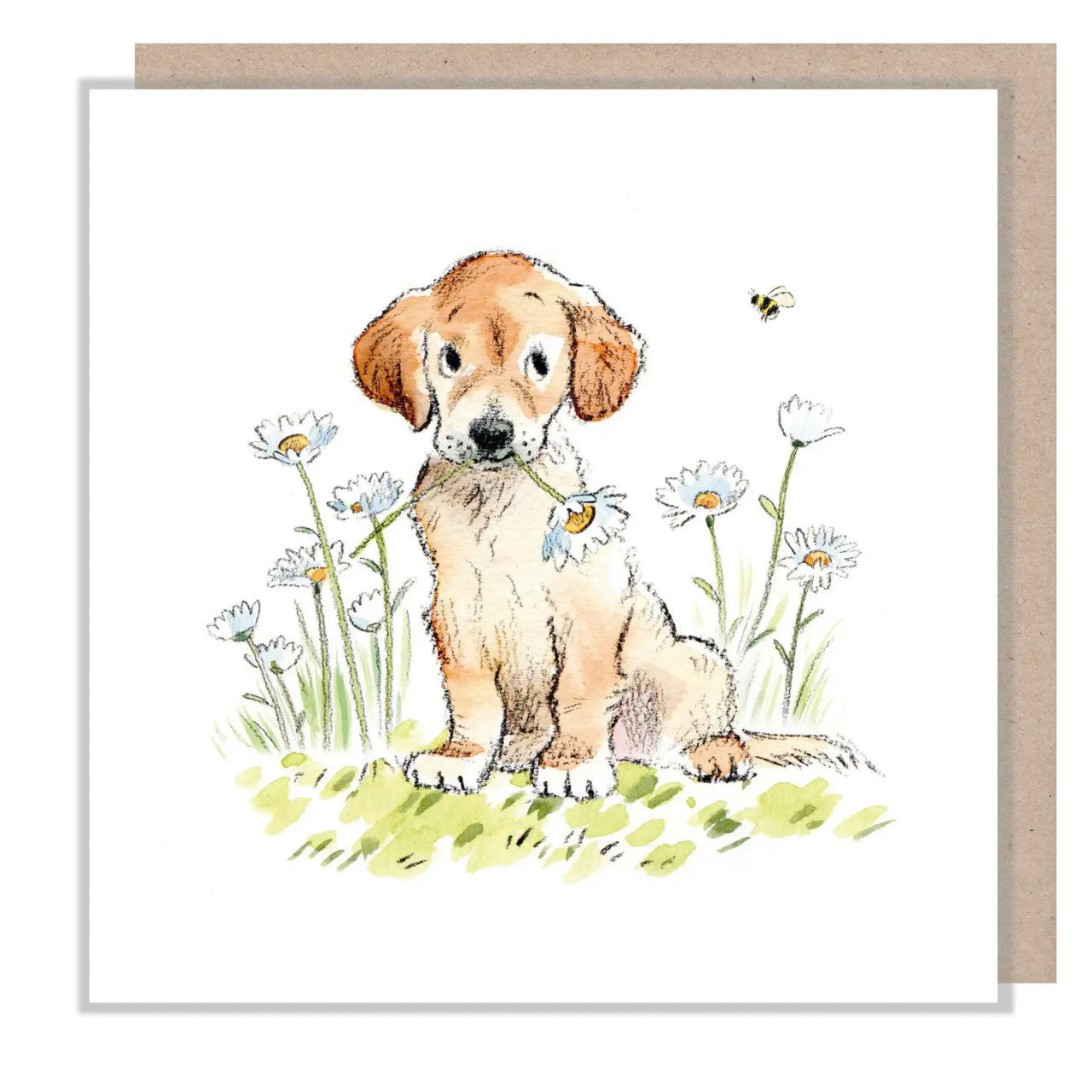 Golden Retriever with Daisy & Bee Greetings Card by Paper Shed Design Card 