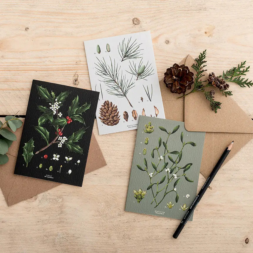 Species Range - Box of 8 Luxury Botanical Christmas Cards