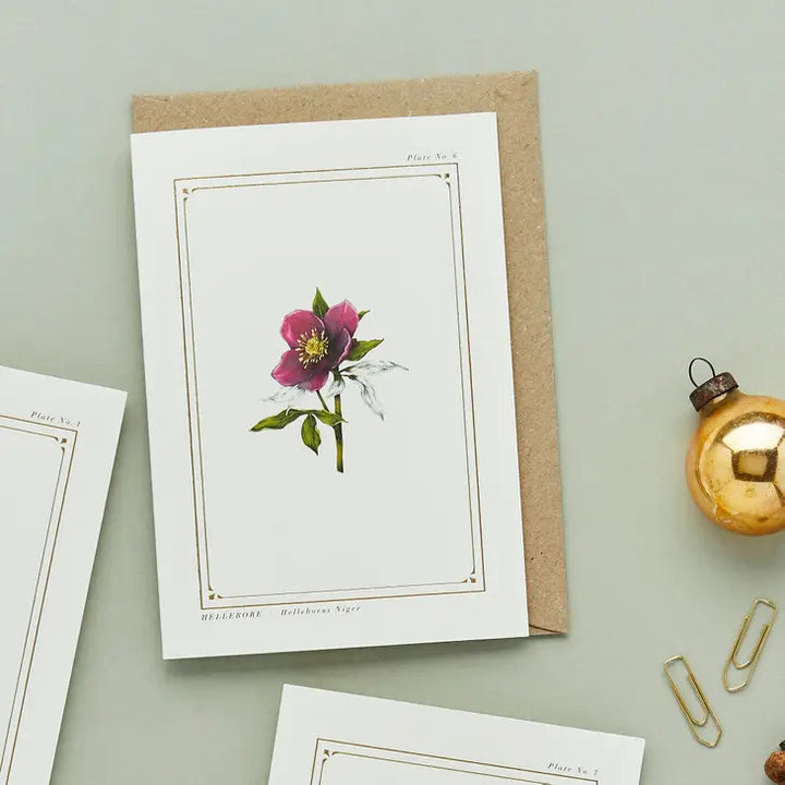 Hellebore - 'Botanical Archive: Festive Edition' - card