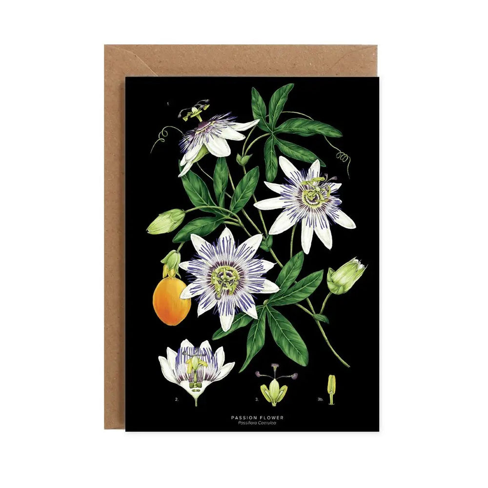 Passion Flower - Black - Greetings Card