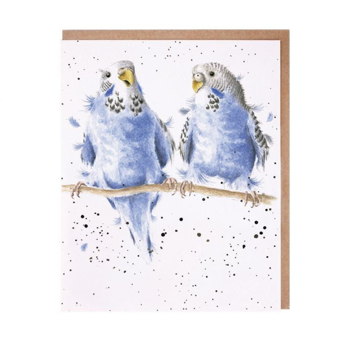 'Date Night' Budgie Greetings Card
