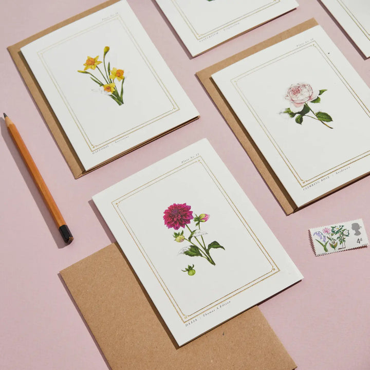 Dahlia - 'Botanical Archive: Everyday Edition' - card