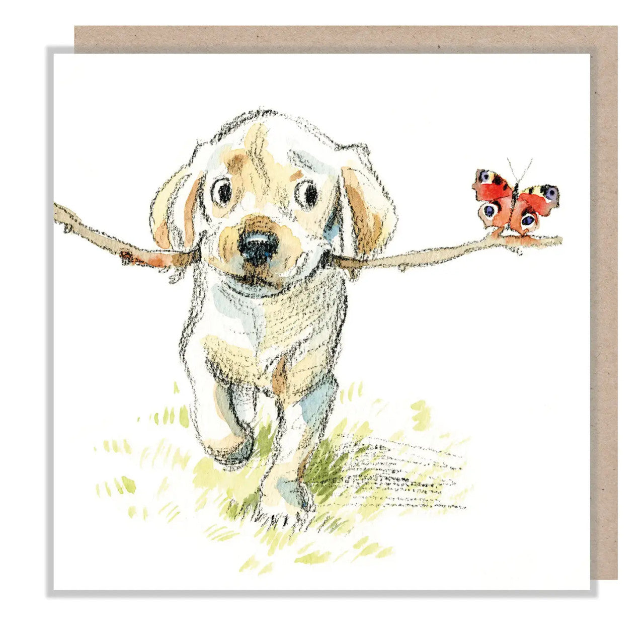 Golden Lab with Stick & Butterfly Greetings Card by Paper Shed Design