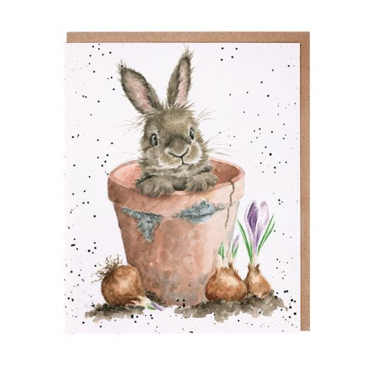 'The Flower Pot' Greetings Card by Hannah Dale for Wrendale Designs.