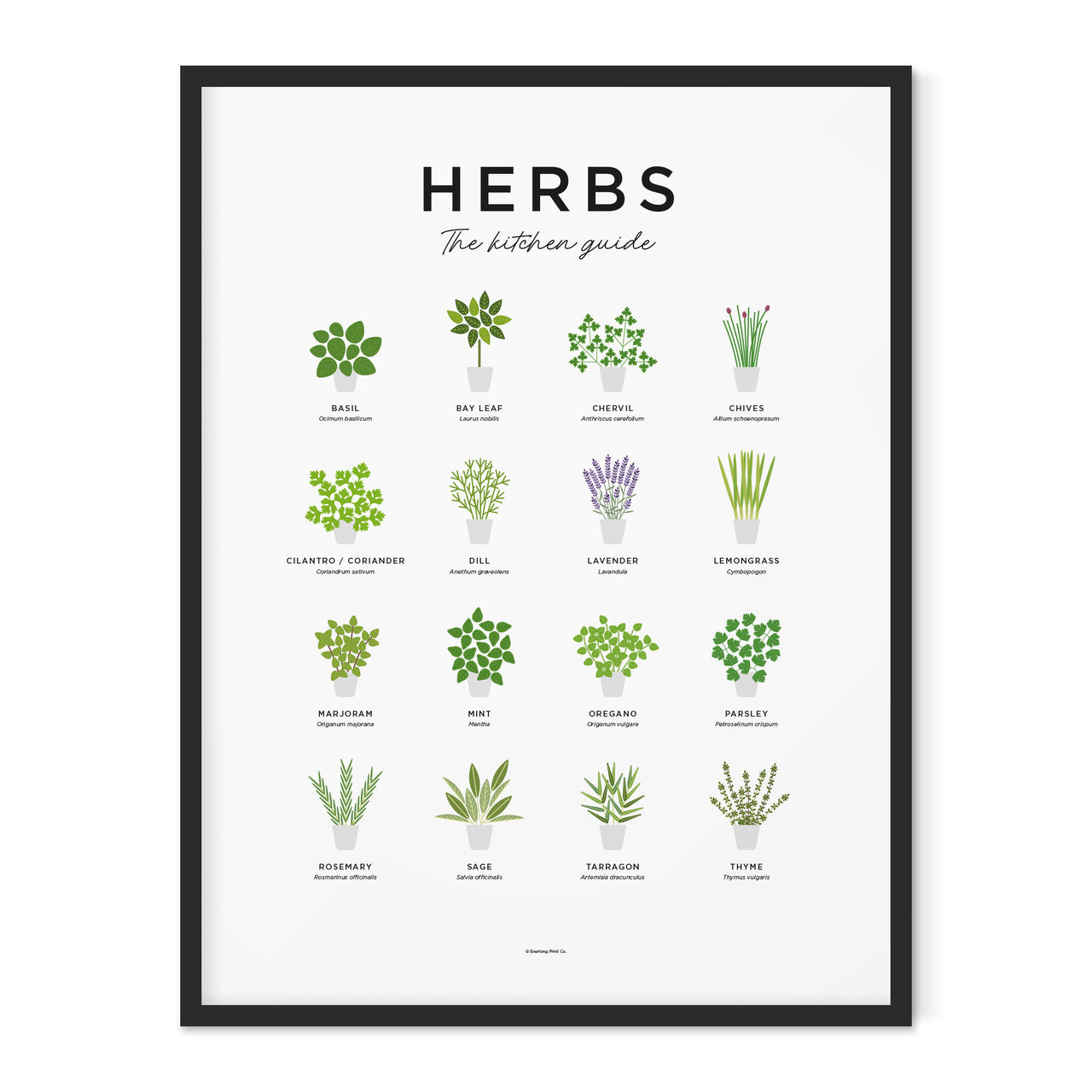 Herbs Print - Framed by Everlong Print Co.
