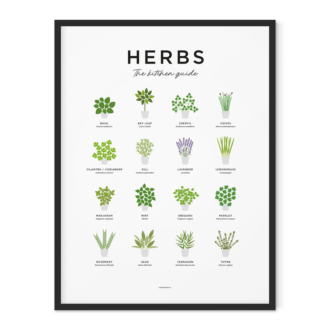 Herbs Print - Framed by Everlong Print Co.