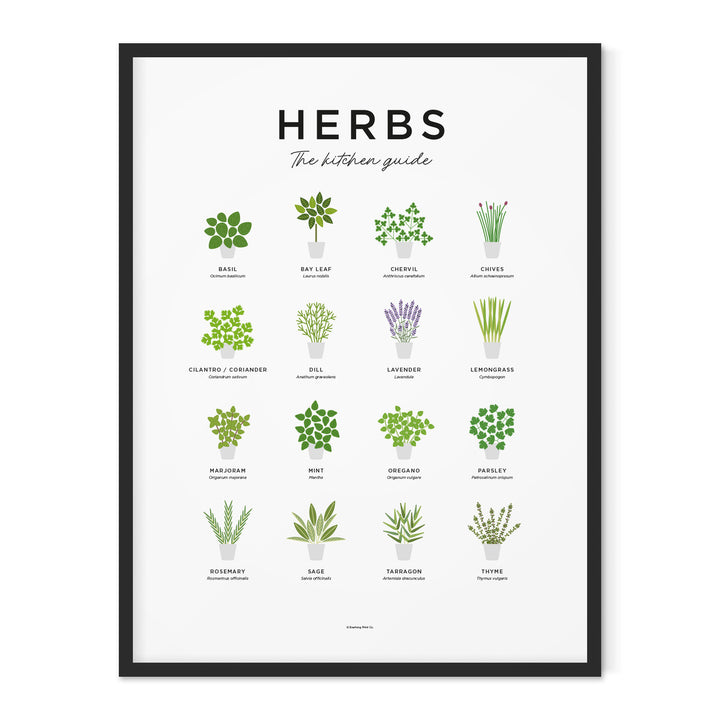 Herbs Print - Framed by Everlong Print Co.