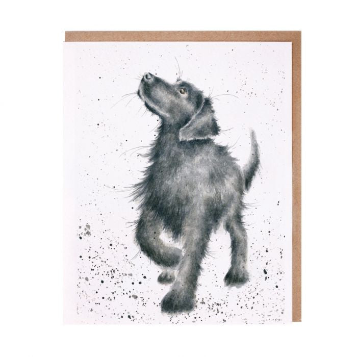 'Walkies'