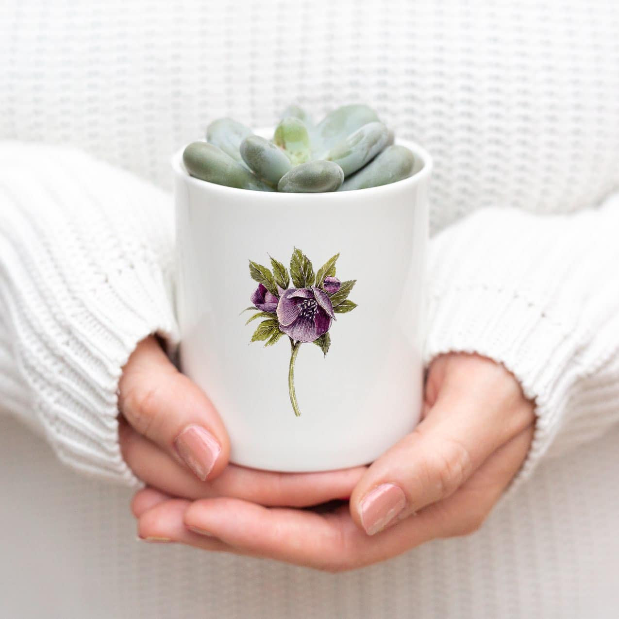 Hellebore Bone China Pot by Toasted Crumpet.