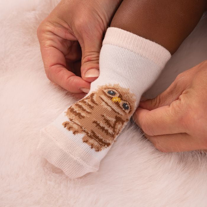 'Little Forest' Woodland Animals Socks Set by Wrendale Designs