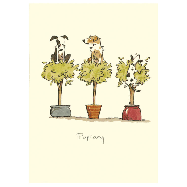 Pupiary Greetings Card by Anita Jeram.