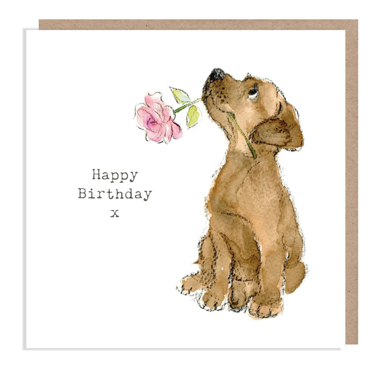 Chocolate Lab with Pink Rose Happy Birthday Greetings Card by Paper Shed Design