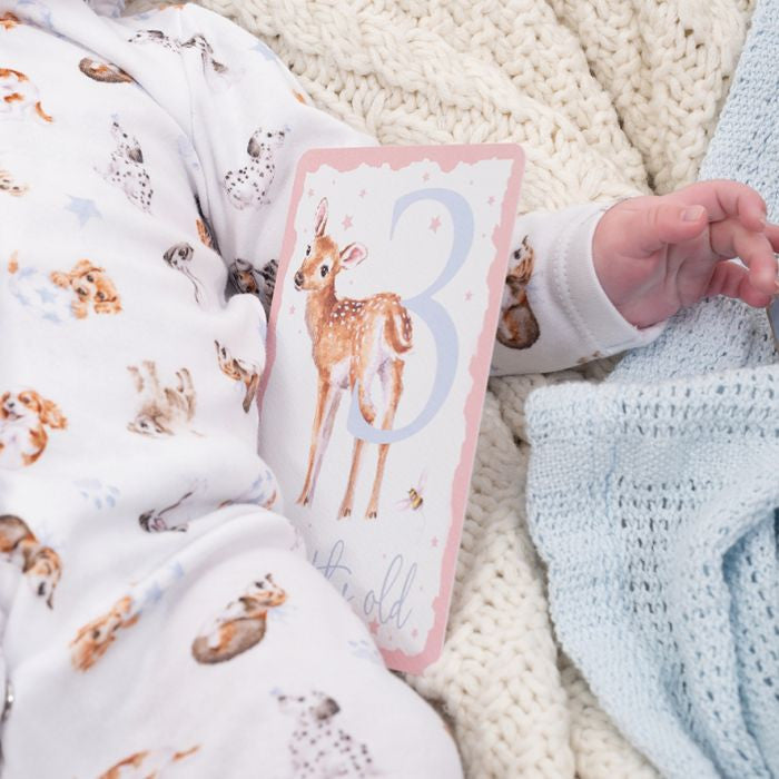 Baby Animals Milestone Cards by Wrendale Designs