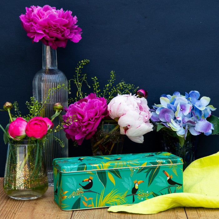Toucan Long Deep Rectangular tin from British Lifestyle Brand Sara Miller.