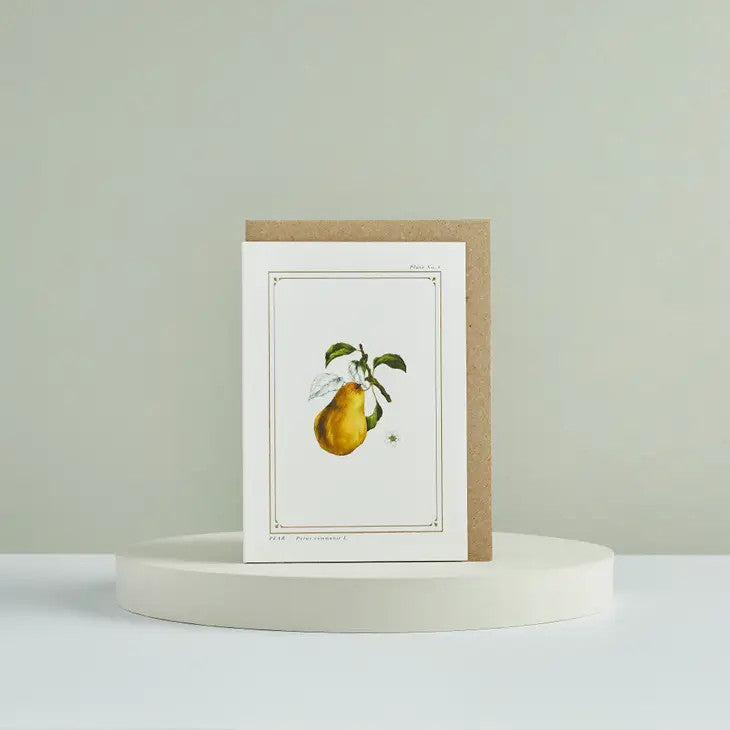 Pear - 'Botanical Archive: Festive Edition' - card