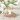 Gardening Bunny Hare Egg Cup