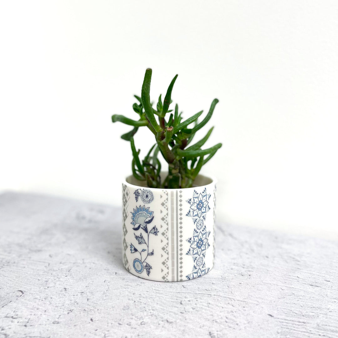 Alex Allday Jasmine Ceramic Planter Pot/Tea Light Holder