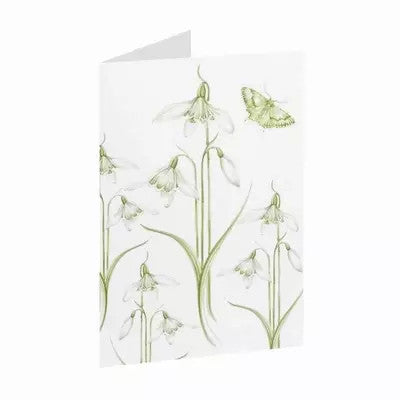 Snowdrop Little Flowers Greetings Card by Jane Abbott Designs