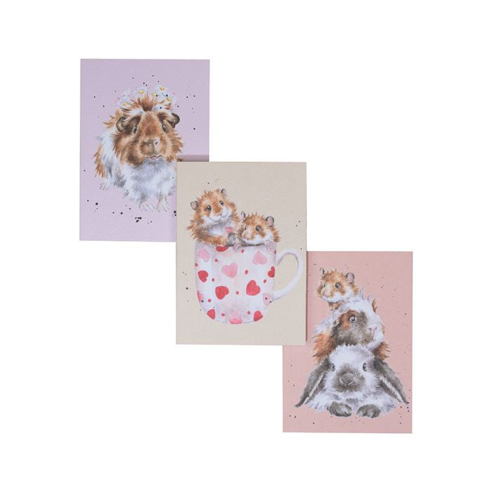 Whiskers & Paws - Set of 3 Notebooks by Wrendale Designs.