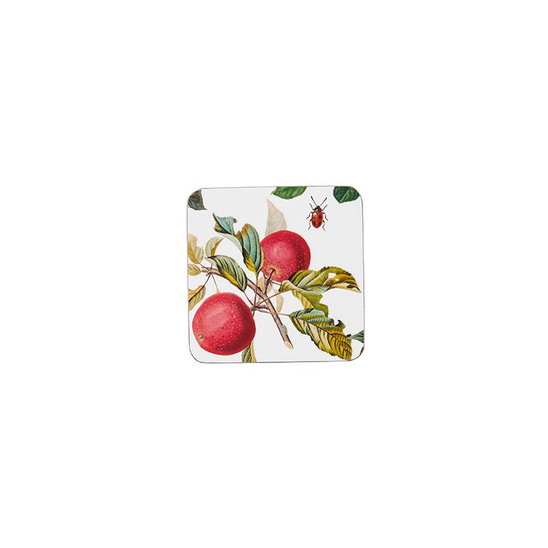 RHS Fruits set of 4 coasters from Ulster Weavers.