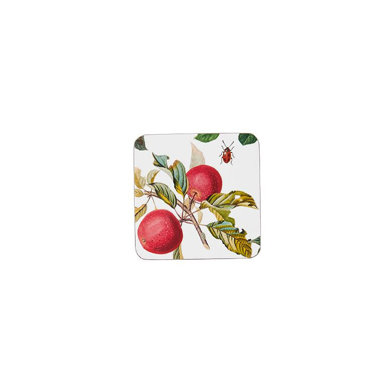 RHS Fruits set of 4 coasters from Ulster Weavers.