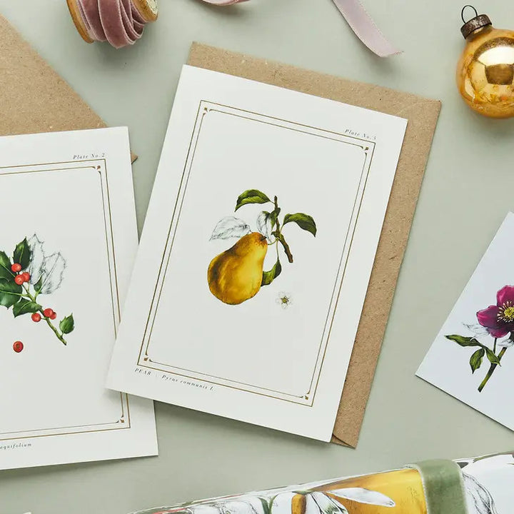 Pear - 'Botanical Archive: Festive Edition' - card