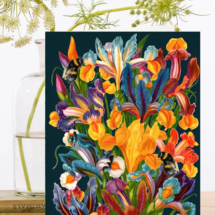 Midnight Iris Card by Madame Treacle.