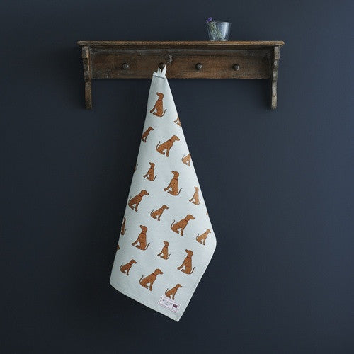 Organic cotton tea towel covered in Vizslas from Sweet William Designs.