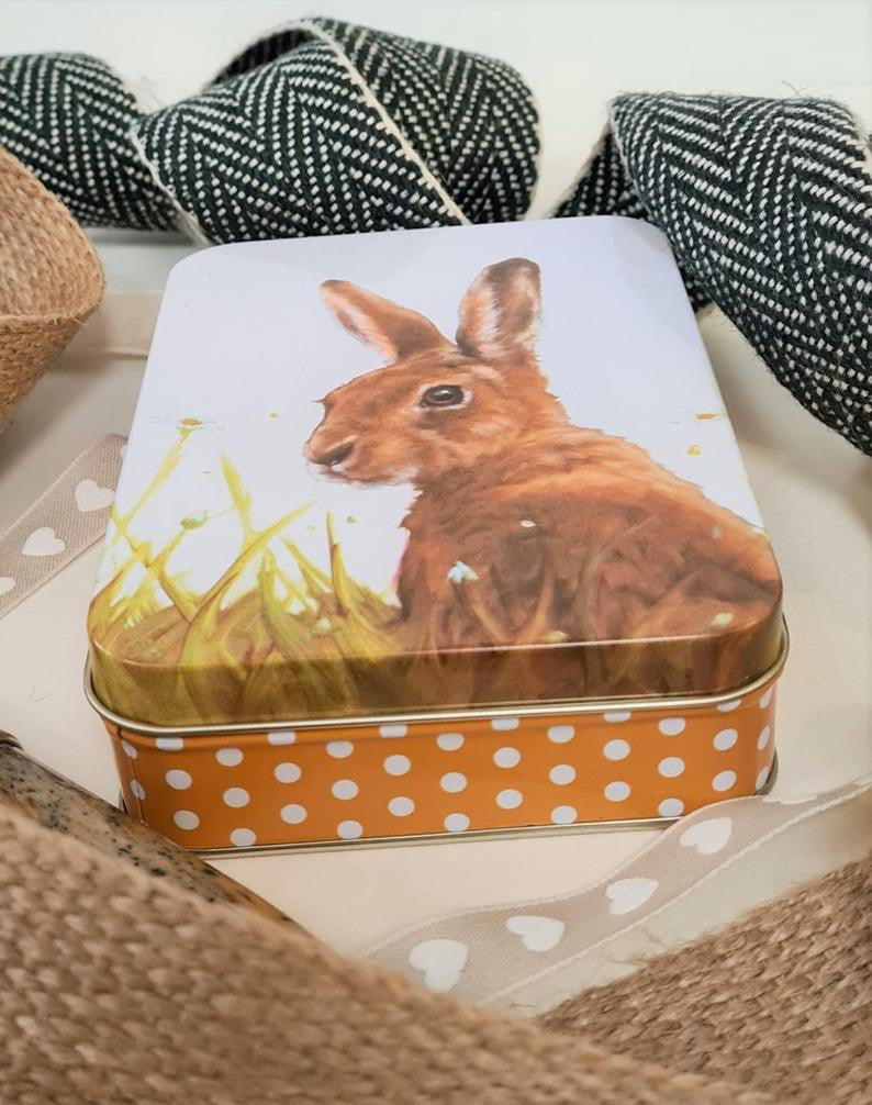 Jo Stockdale Best Friends Hare Small Rectangular Tin.