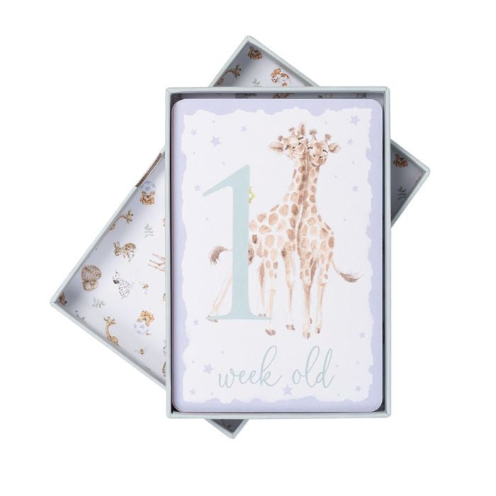 Baby Animals Milestone Cards by Wrendale Designs