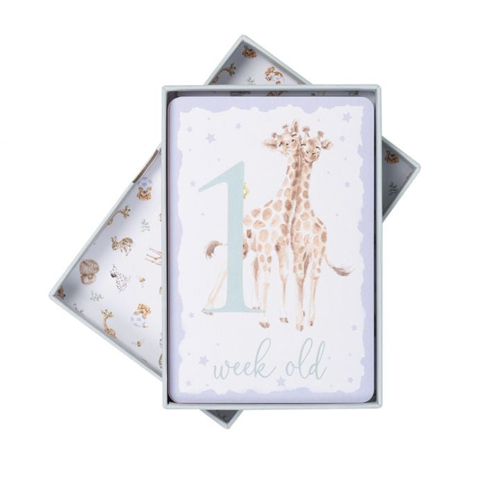Baby Animals Milestone Cards by Wrendale Designs
