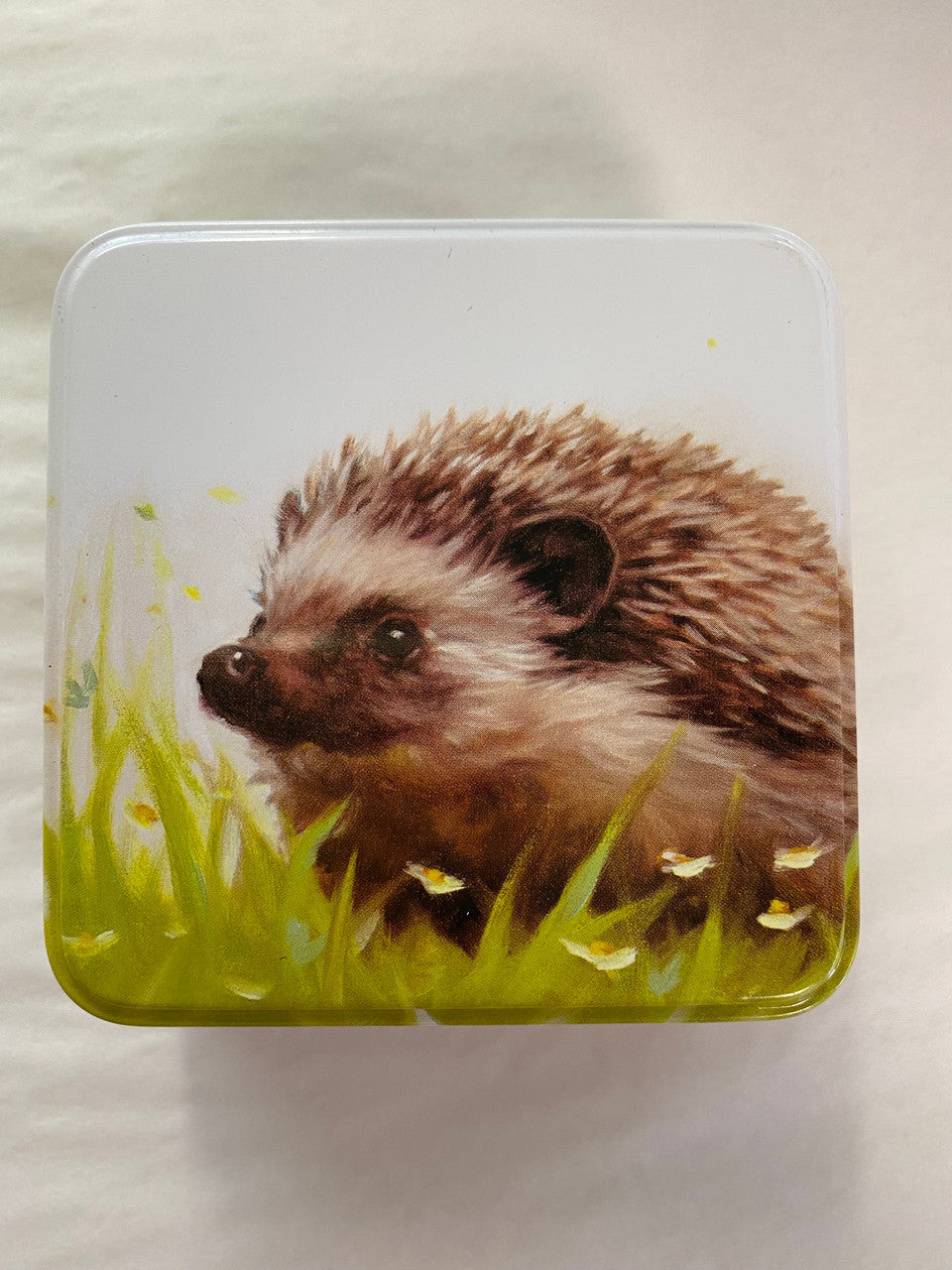 Jo Stockdale Countryside Friends Small Square Tins. Hedgehog.