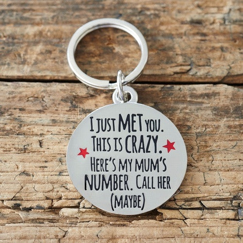 Sweet William silver plated brass dog tag - I Just Met You. This is Crazy