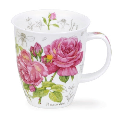 Fine bone china Nevis Floral Sketch Rose Mug
