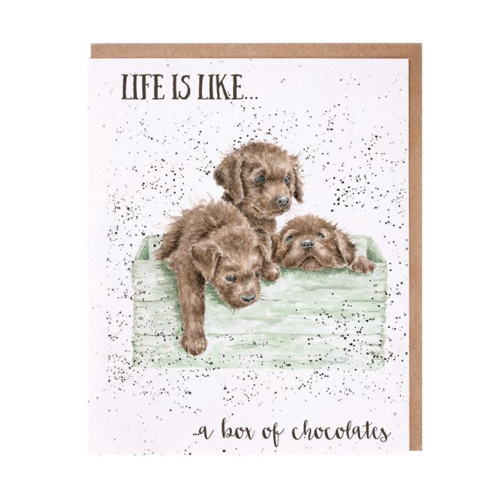 Life is Like a Box of Chocolates Greetings card by Hannah Dale for Wrendale Designs