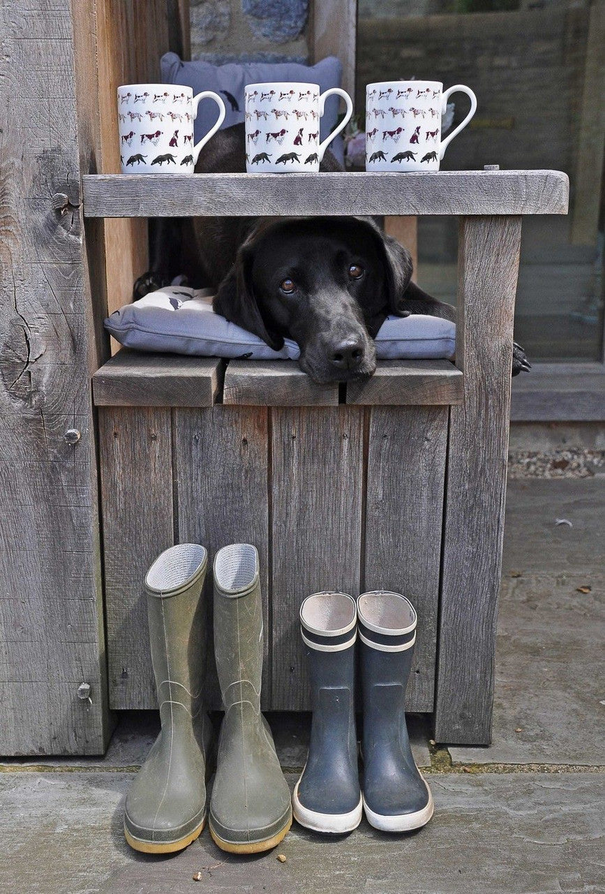 Sophie Allport bone china Walkies! mug boxed.