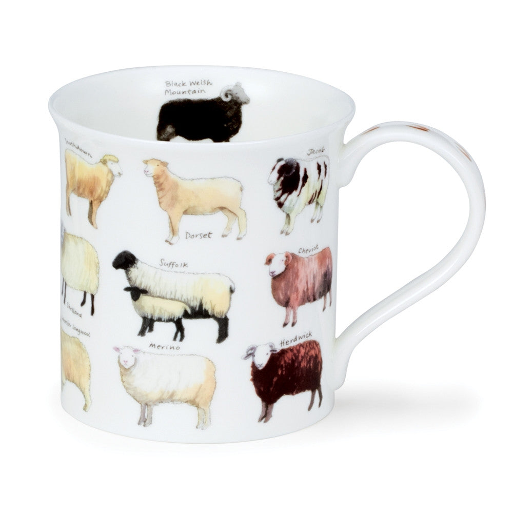 Dunoon bone china Bute Animal Breeds Mug - Sheep. Handmade in England.