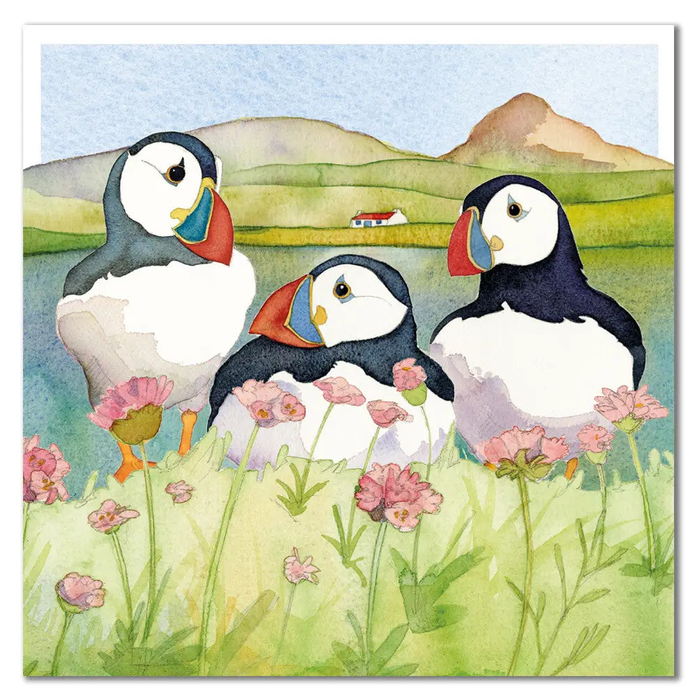 Seathrift Puffins Greetings Card