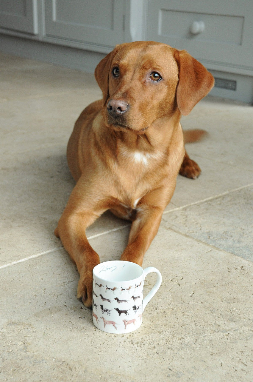 Sophie Allport bone china Woof! mug boxed.