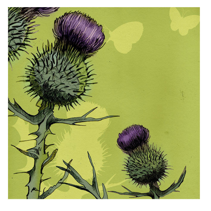 Thistle Greetings Card by Emma Ball.