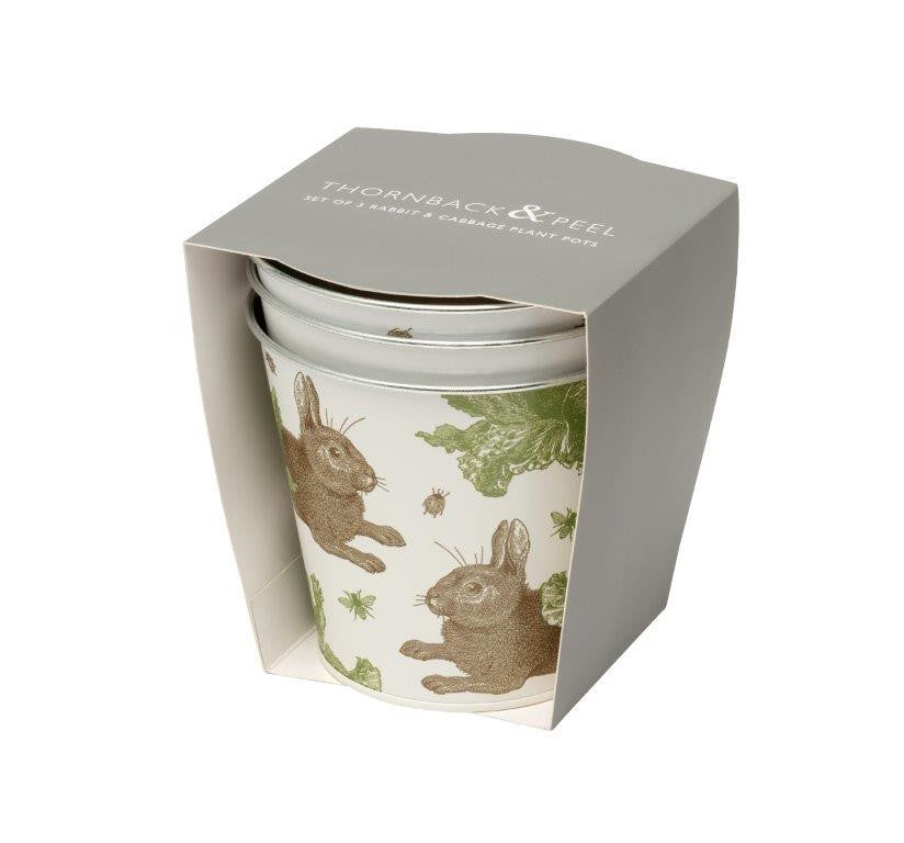 Thornback & Peel Rabbit & Cabbage Set of 3 Round Tin Herb Pots