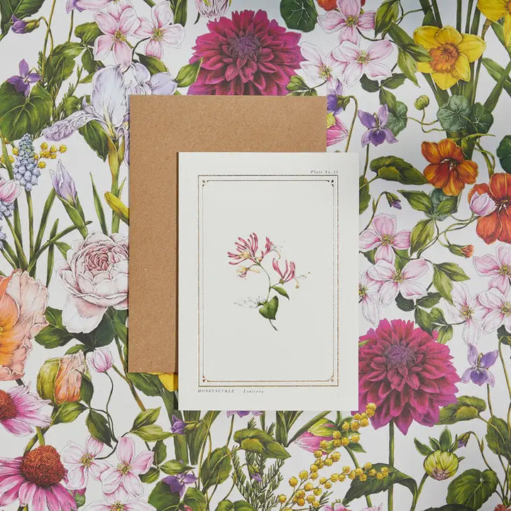 Honeysuckle - 'Botanical Archive: Everyday Edition' - card