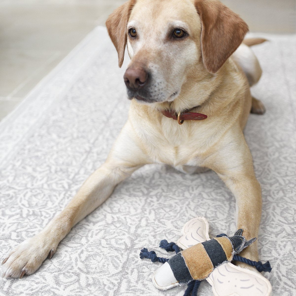 Sophie Allport Bee Dog Toy
